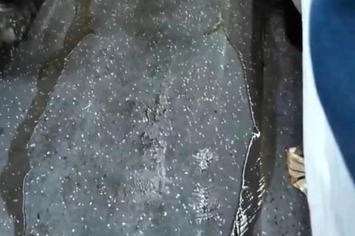 मुजफ्फरपुर: चलती ट्रेन में पानी रिसाव की शिकायत पर, यात्री को कोच स्टाफ ने धमकाया