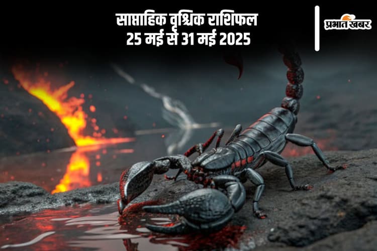 साप्ताहिक वृश्चिक राशिफल 25 मई से 31 मई 2025, कार्यों में सफलता अवश्य मिलेगी