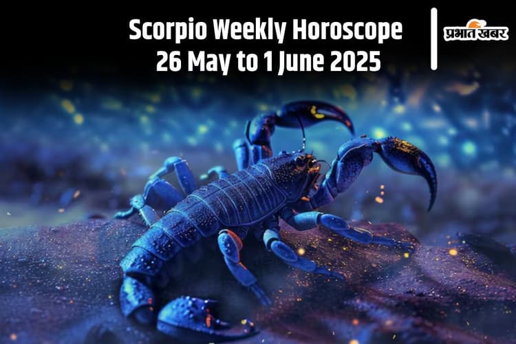 Scorpio Weekly Horoscope 26 मई से 1 जून 2025, सतर्कता और विवेक का परीक्षण होगा