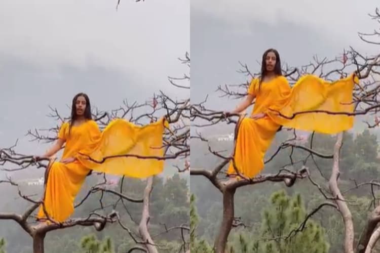 रील के चक्कर में लड़की ने खतरे में डाली जान, कहा- मैं हूं पेड़ों की रानी...वीडियो देख कांप जाएगा कलेजा