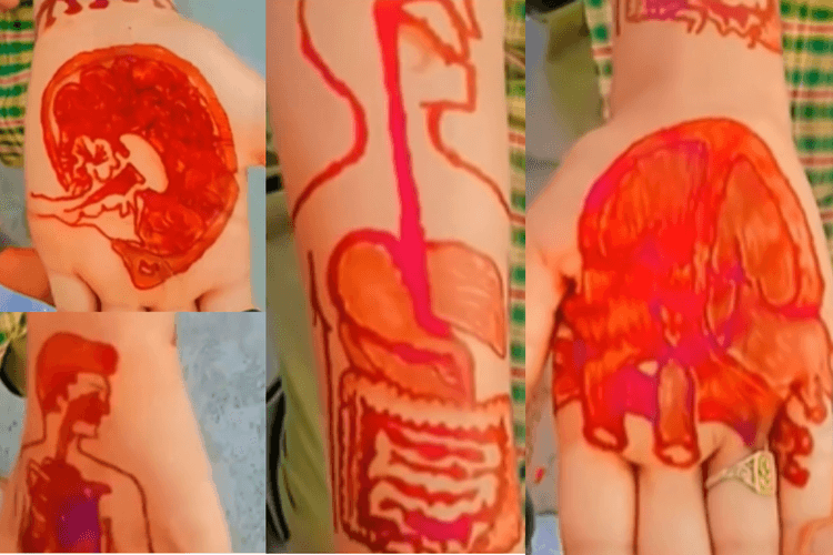 Viral Video: टॉर्प बनने की खतरनाक टैकनिक, मेहंदी से बनाया बायोलॉजी डायग्राम, देखे वीडियो