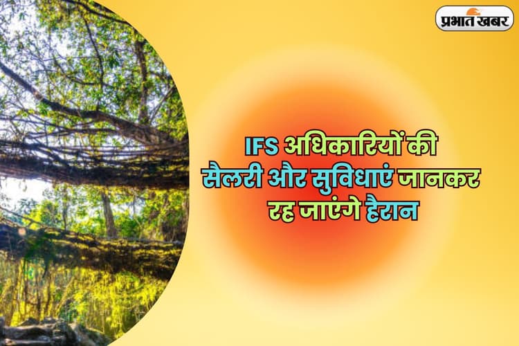 UPSC IFS Salary: इंडियन फॉरेस्ट सर्विस अधिकारियों को मिलती है इतनी सैलरी, सरकारी सुविधाएं जानकर हो जाएंगे हैरान