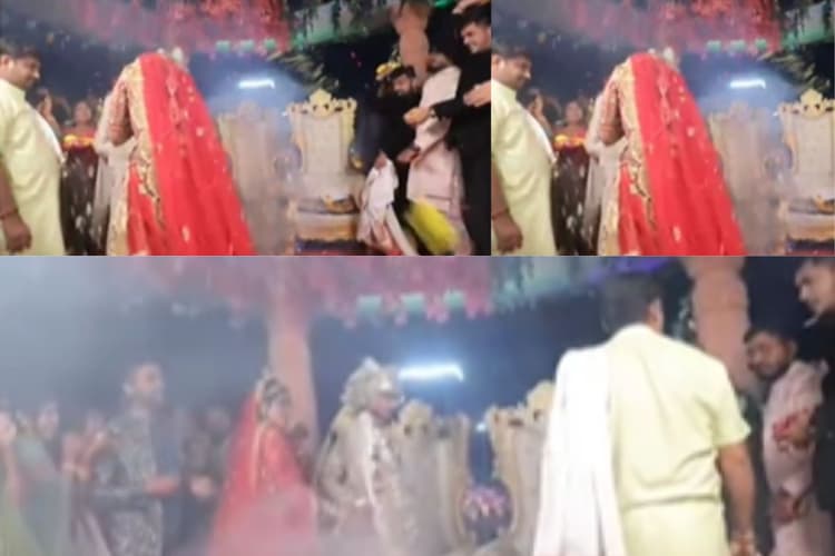 Viral Video : शादी के फेरों के बीच पंडित ने दूल्हे के दोस्त की कर दी कुटाई! वीडियो हुआ वायरल