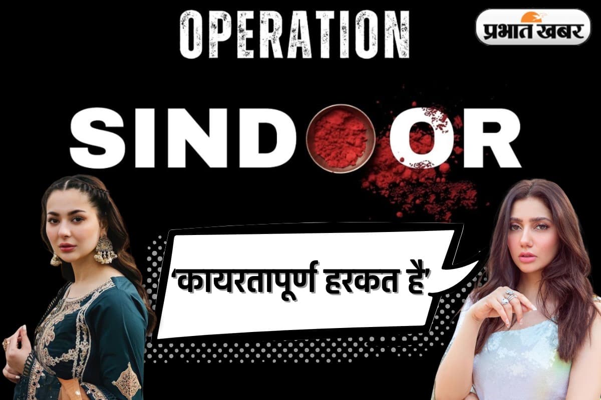 Pakistani actors on Operation Sindoor