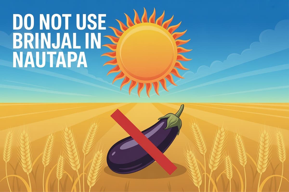 Nautapa 2025 : कल से नौतपा शुरू, इन दिनों नहीं करें बैंगन का प्रयोग, जानें धार्मिक कारण