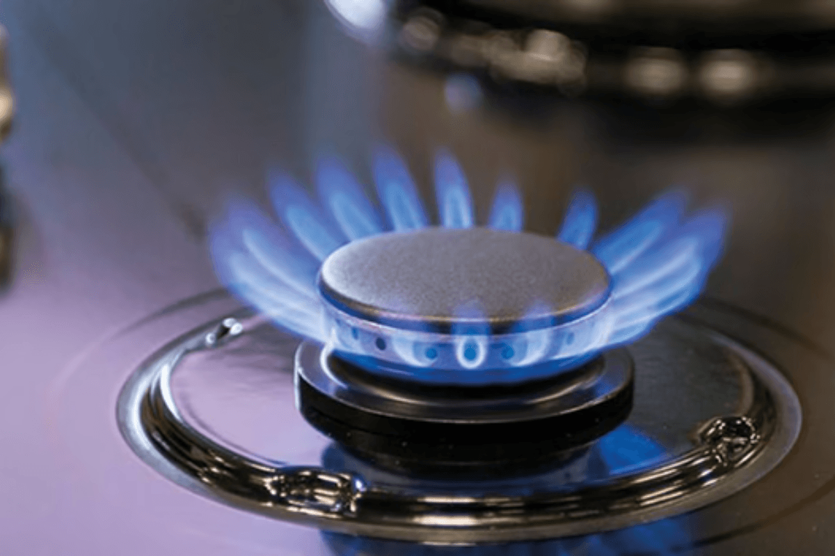 Kitchen Tips: घरेलू गैस लंबा चलाना है तो जान लीजिए ये आसान टिप्स! होगी भारी बचत