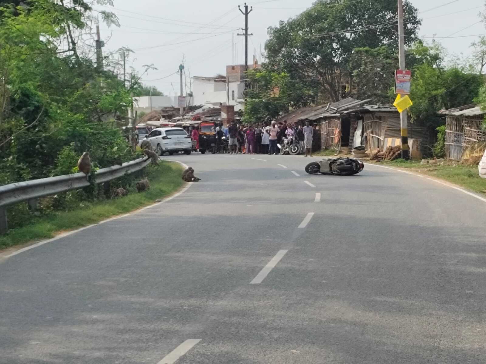 Madhubani News : बच्चे को लगी ठोकर तो बंदरों के झुंड ने जाम की सड़क