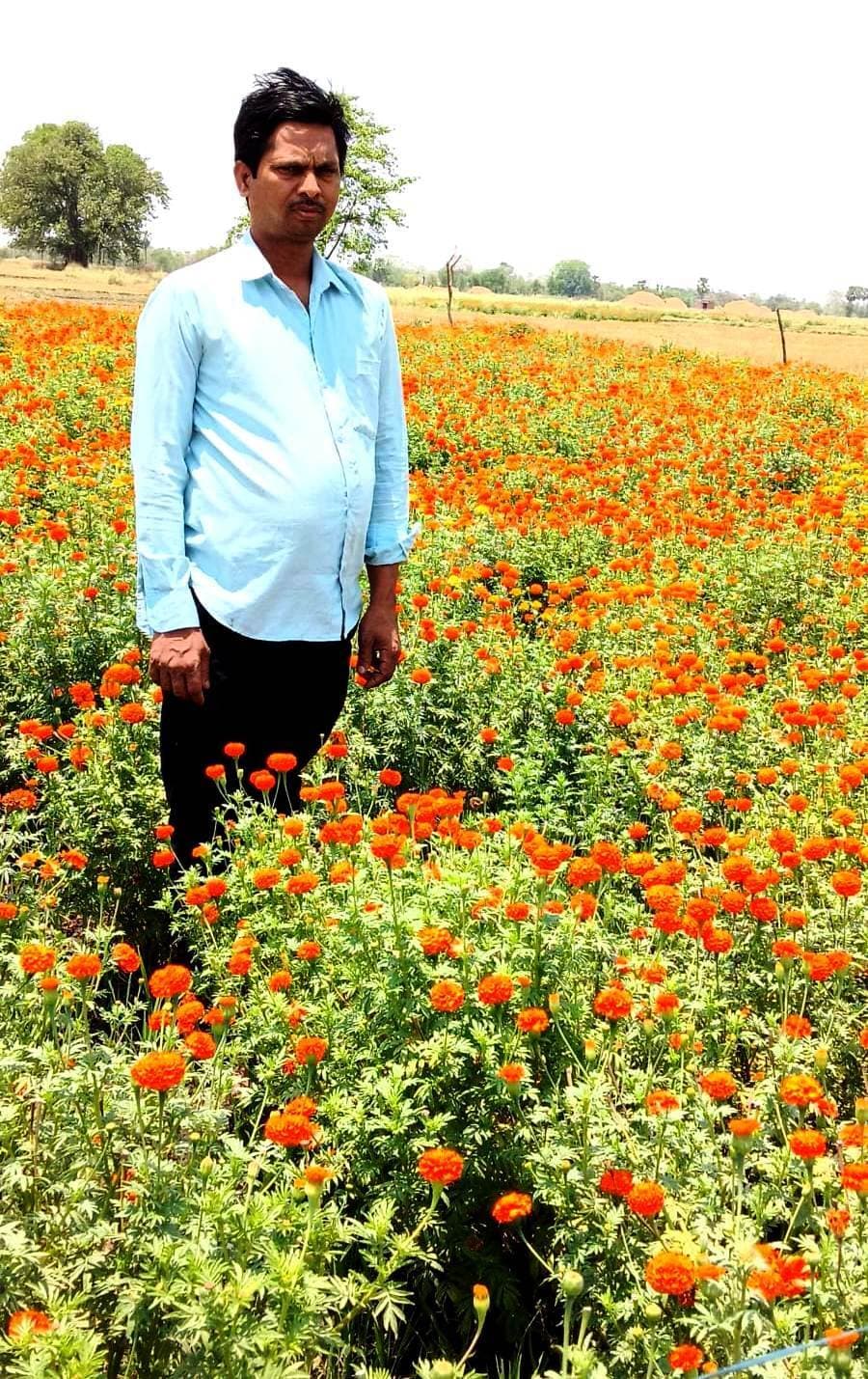 गेंदे की खुशबू से महक रहा महथू गांव, 22 सालों से खेती कर रहे गुड्डू