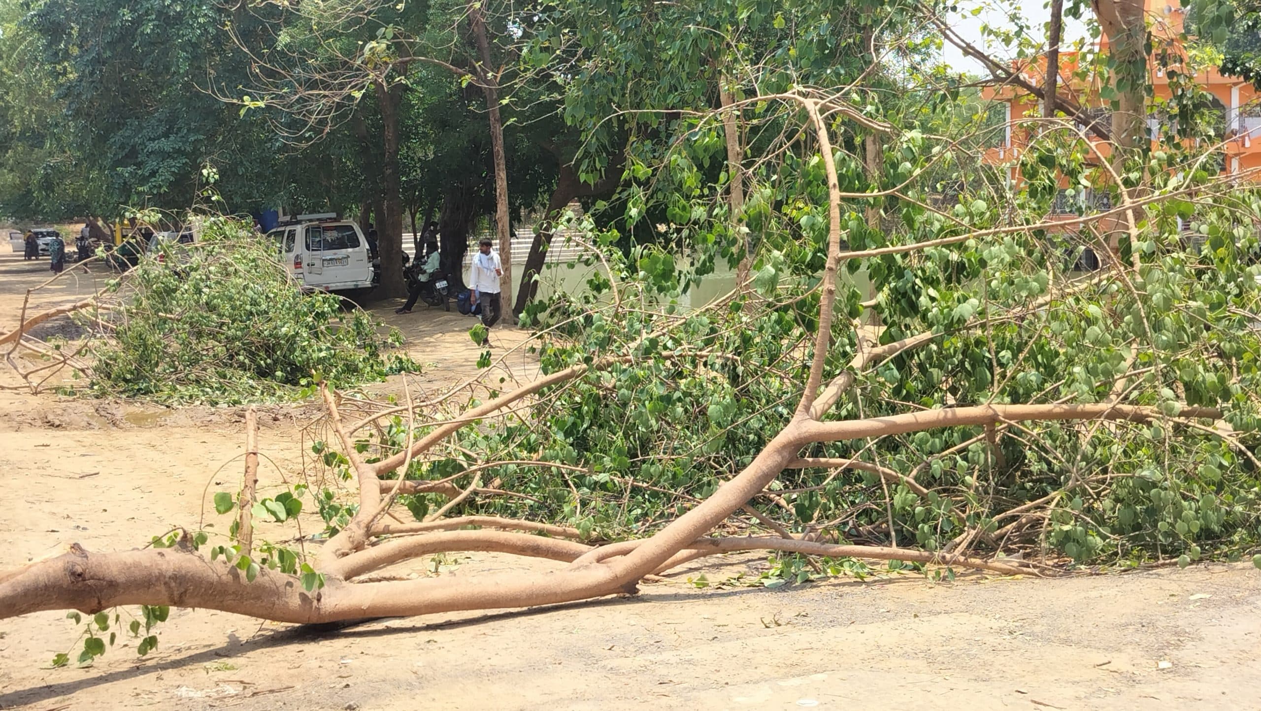 तेज आंधी से पेड़ से टूटीं टहनियां, आवागमन बाधित