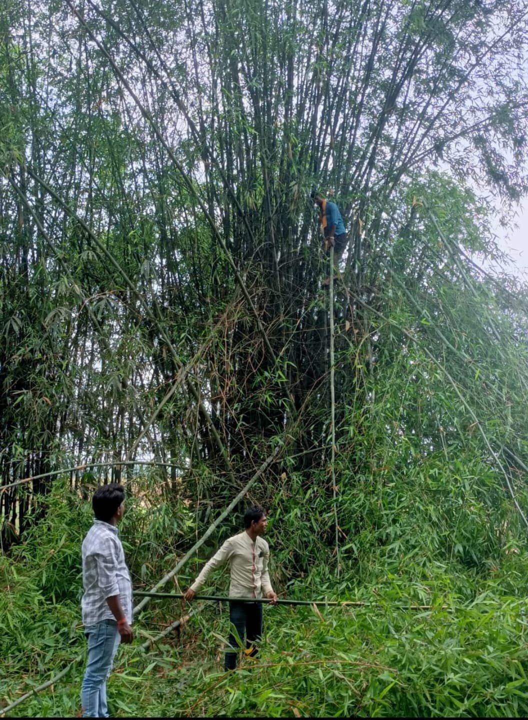 आंधी व बारिश से चरमरायी बिजली, आपूर्ति बहाल होने में लगे चार घंटे
