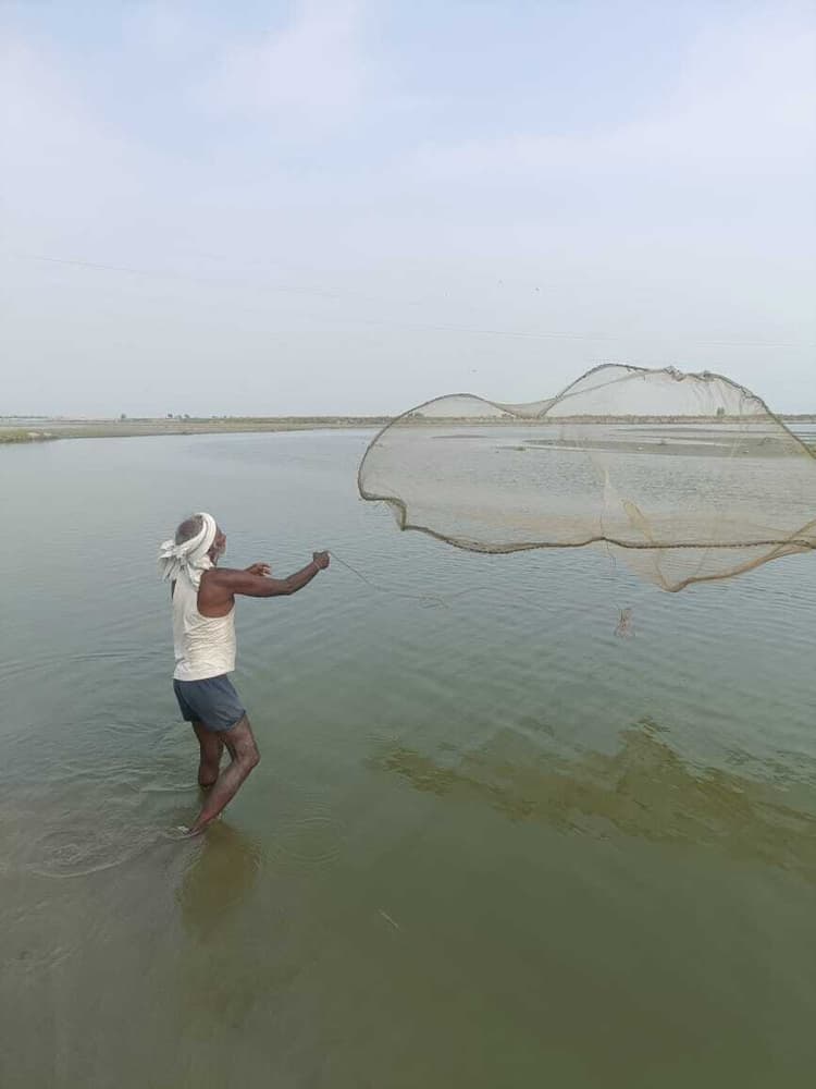 Motihari: मछुआरों को आर्थिक सहायता देगी सरकार, 31 मई तक करना होगा आवेदन