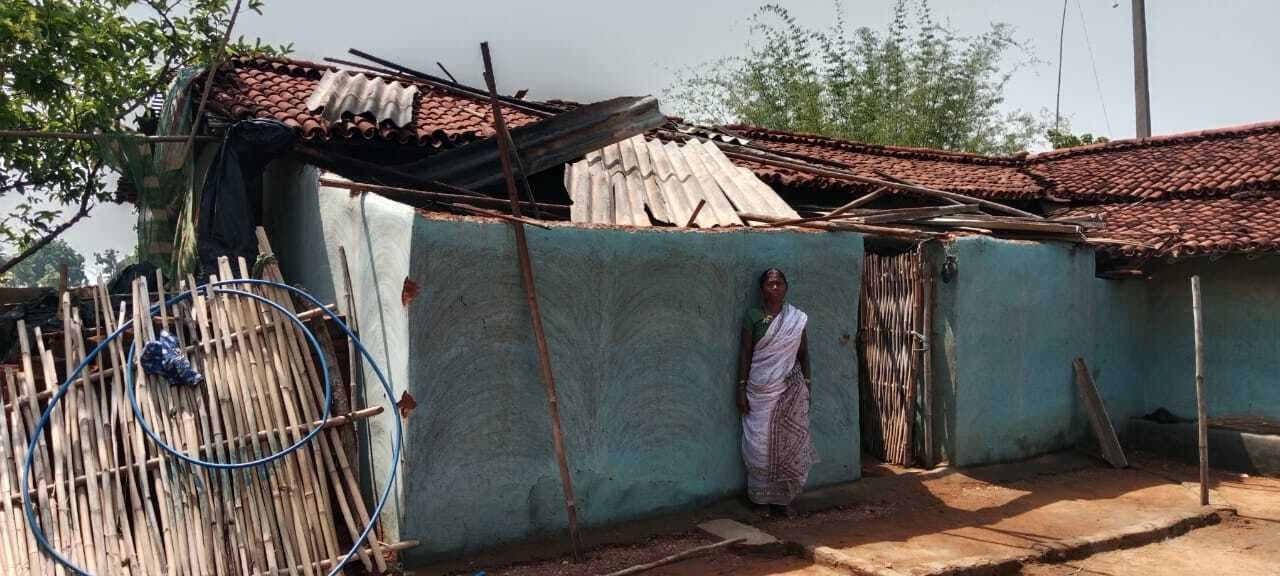 Giridih News :आंधी-बारिश में फसलों को नुकसान, कई घरों के छप्पर-शेड उड़े