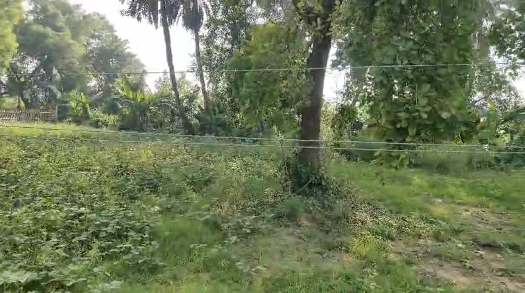 जमीन से कुछ दूरी पर लटक रहा बिजली तार, हादसे को दे रहा निमंत्रण