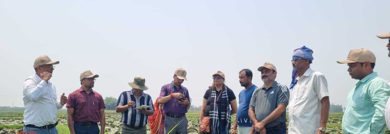 पायलट परियोजना के तहत बायर हाइब्रिड धान व मक्का बीज उत्पादन का किया निरीक्षण