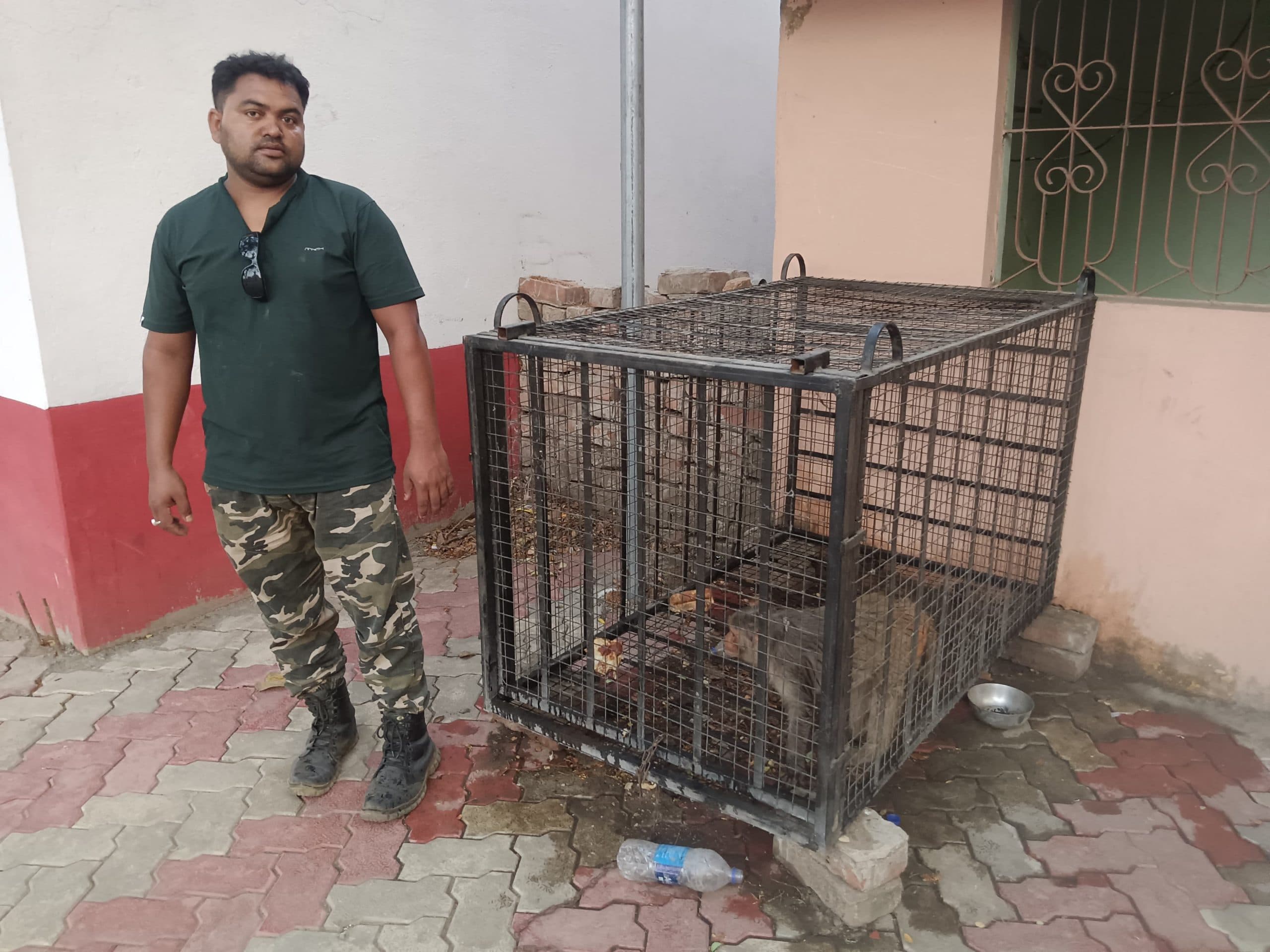 पाकुड़ वन विभाग ने पागल बंदर को किया काबू