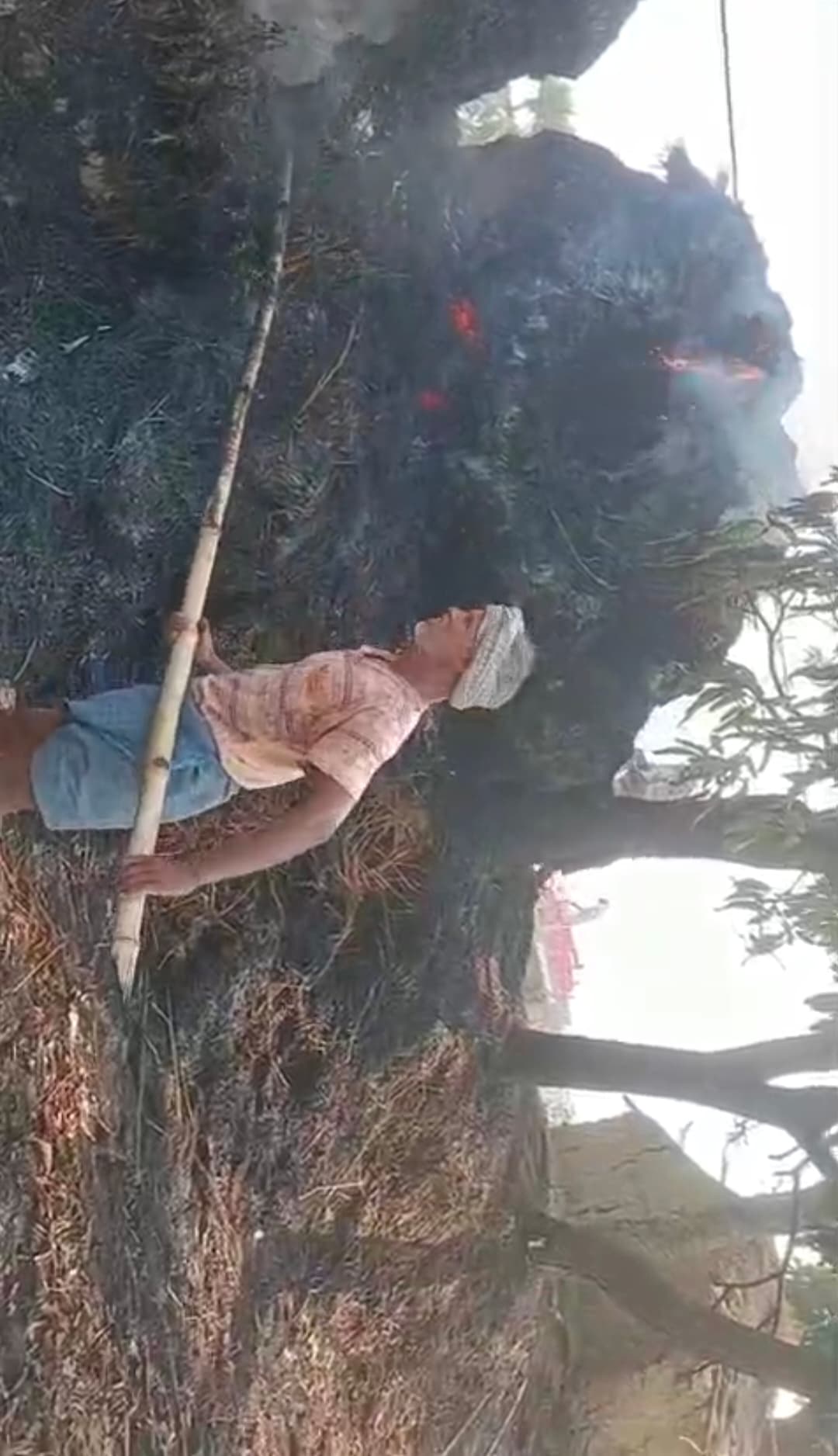 वजीरगंज में नेवारी का पुंज जला, 50 हजार का नुकसान