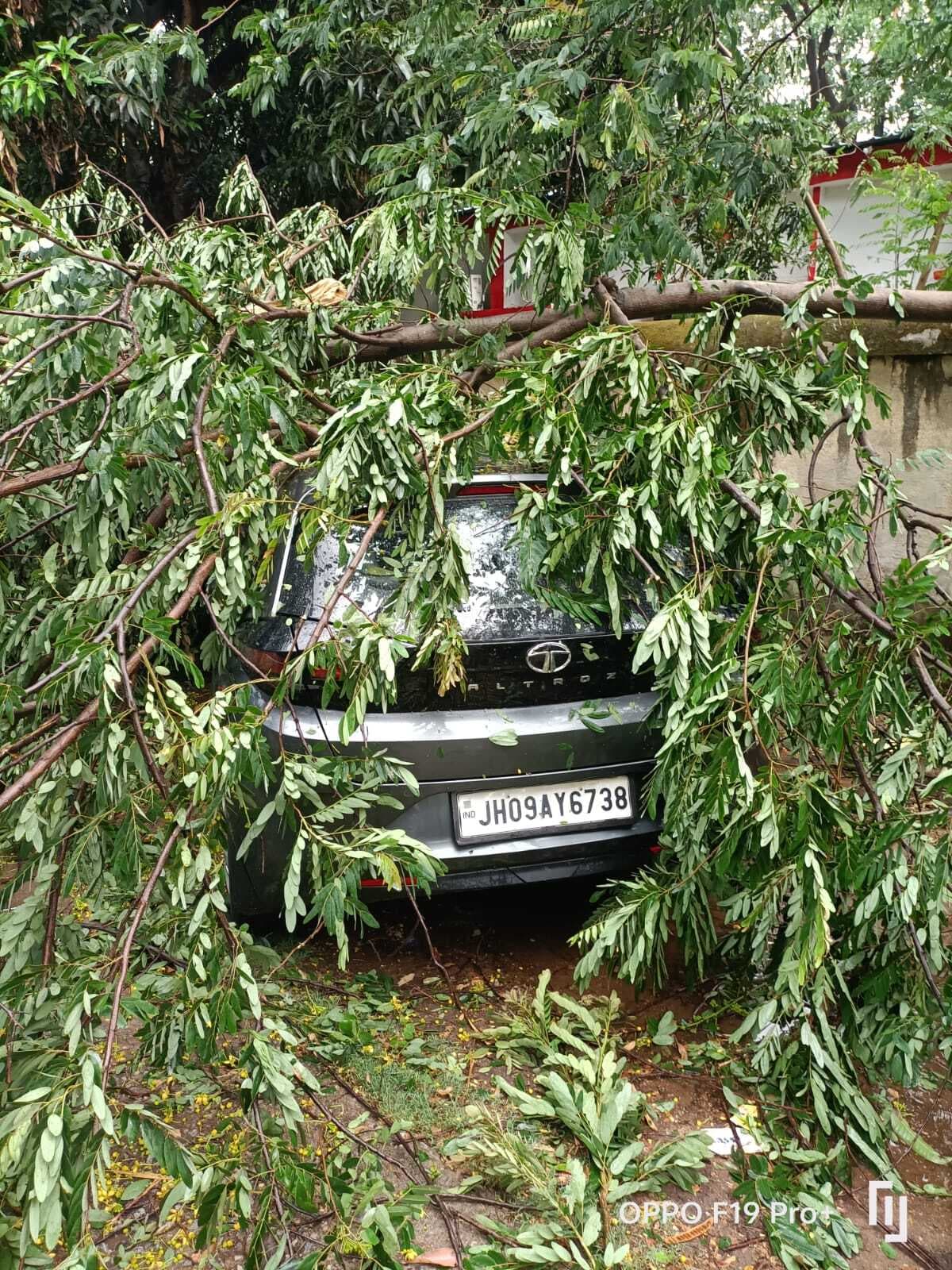 Bokaro News : तेनुघाट में आंधी-पानी से काफी क्षति, बिजली गुल