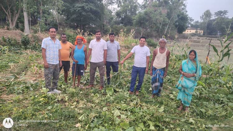 Giridh News :32 हाथियों के झुंड ने मचाया उत्पात, फसलों को रौंदा