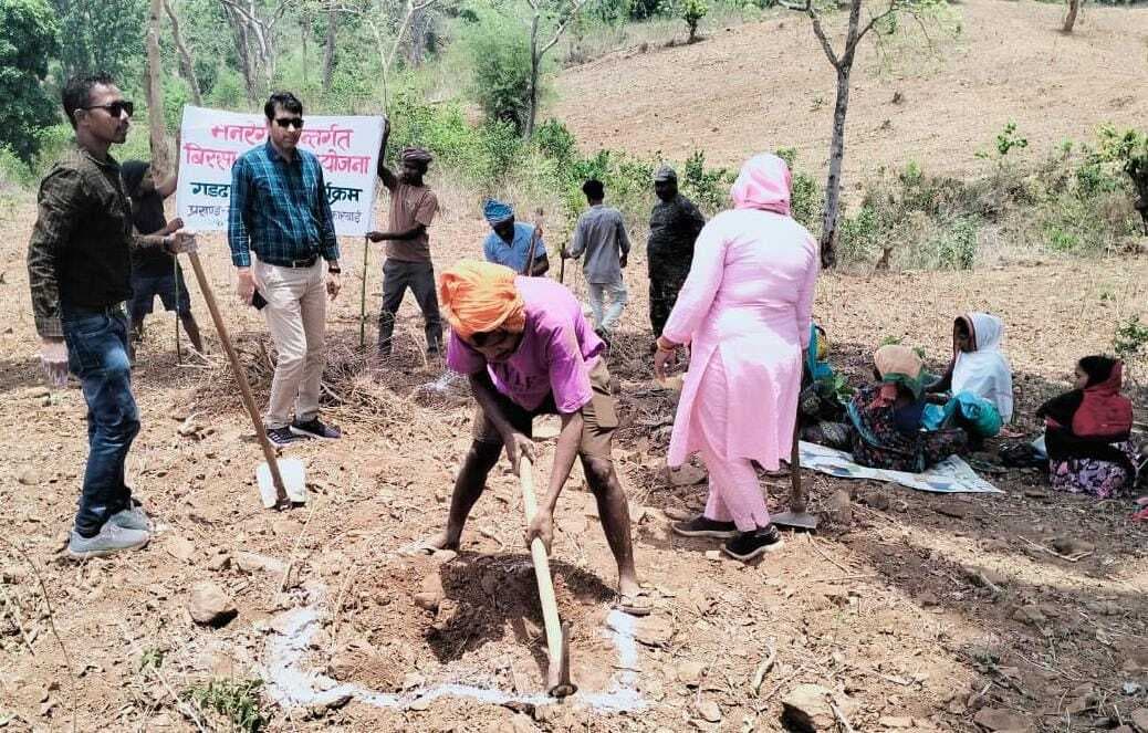 बीडीओ ने किया आम बागवानी का निरीक्षण