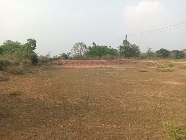 Giridih News :सूख रहे ताल-तलैया, पानी के लिए भटक रहे बेजुबान पशु-पक्षी
