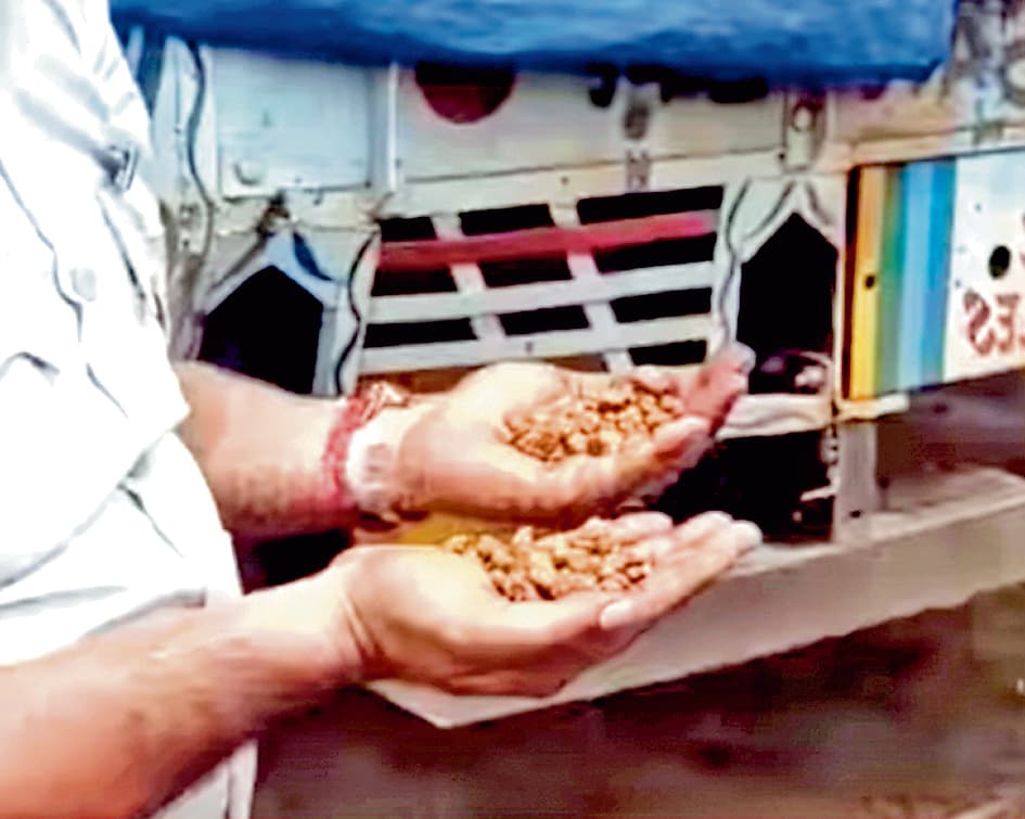 खैराशोल में पकड़ा 150 मीट्रिक टन सफेद पत्थर जब्त किये गये पांच ट्रक, पांच लोग गिरफ्तार