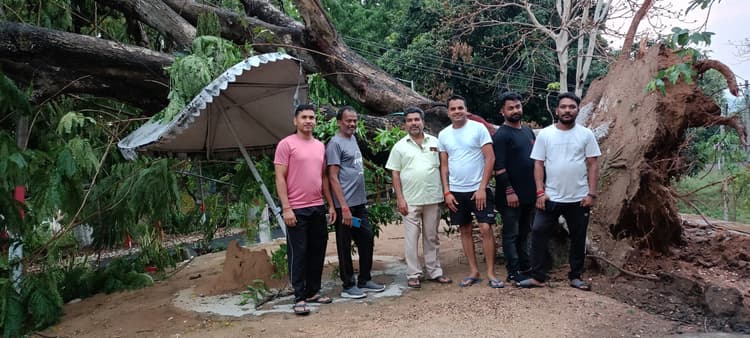 Bokaro News : एसडीओ आवास में आंधी से गिरा पेड़
