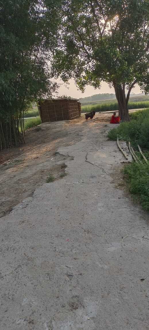 सड़क बदहाल, गड्ढे से हर दिन हादसे का बना रहता है डर