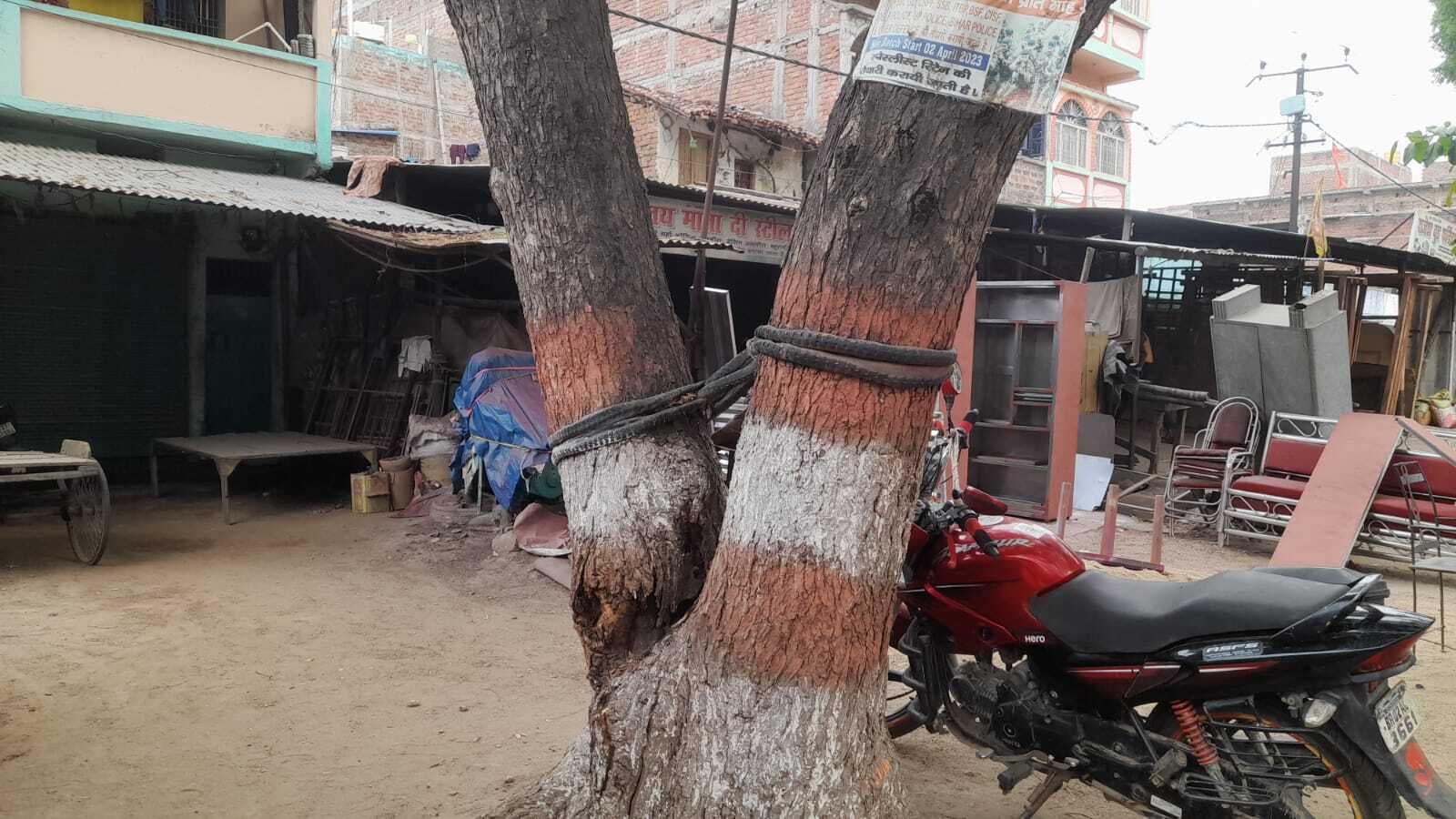 आंधी-पानी से दर्जनों पेड़ उखड़े, ओलावृष्टि से किसानों को नुकसान