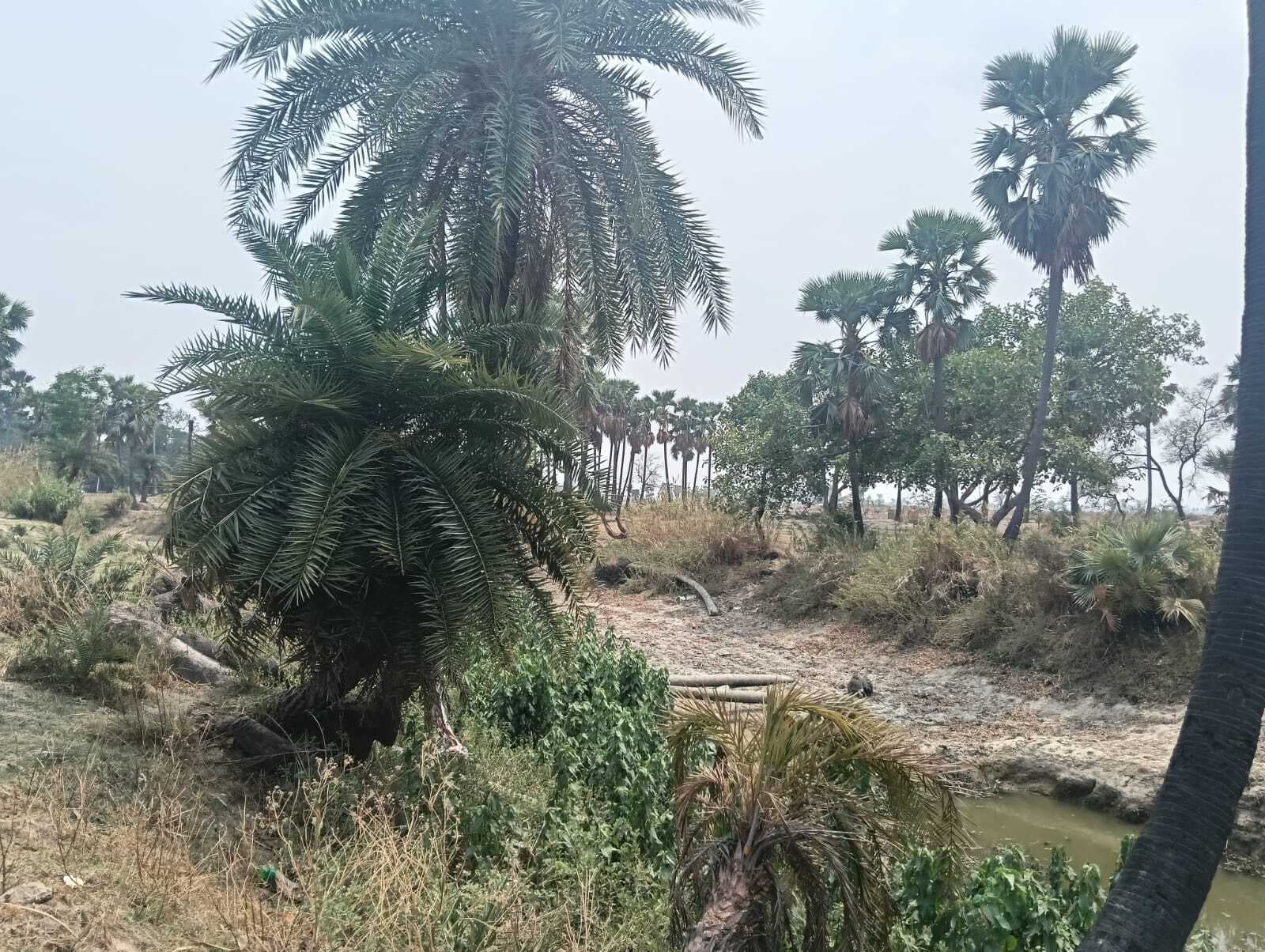 नहर पर नजर टिकाये बैठे हैं किसान