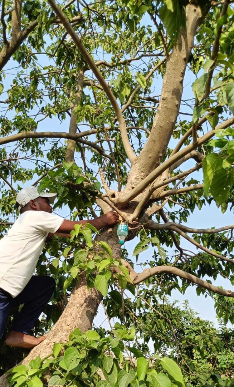 Bhagalpur News: तपती धूप में बेजुबान पंछियों के लिए की पेयजल की व्यवस्था