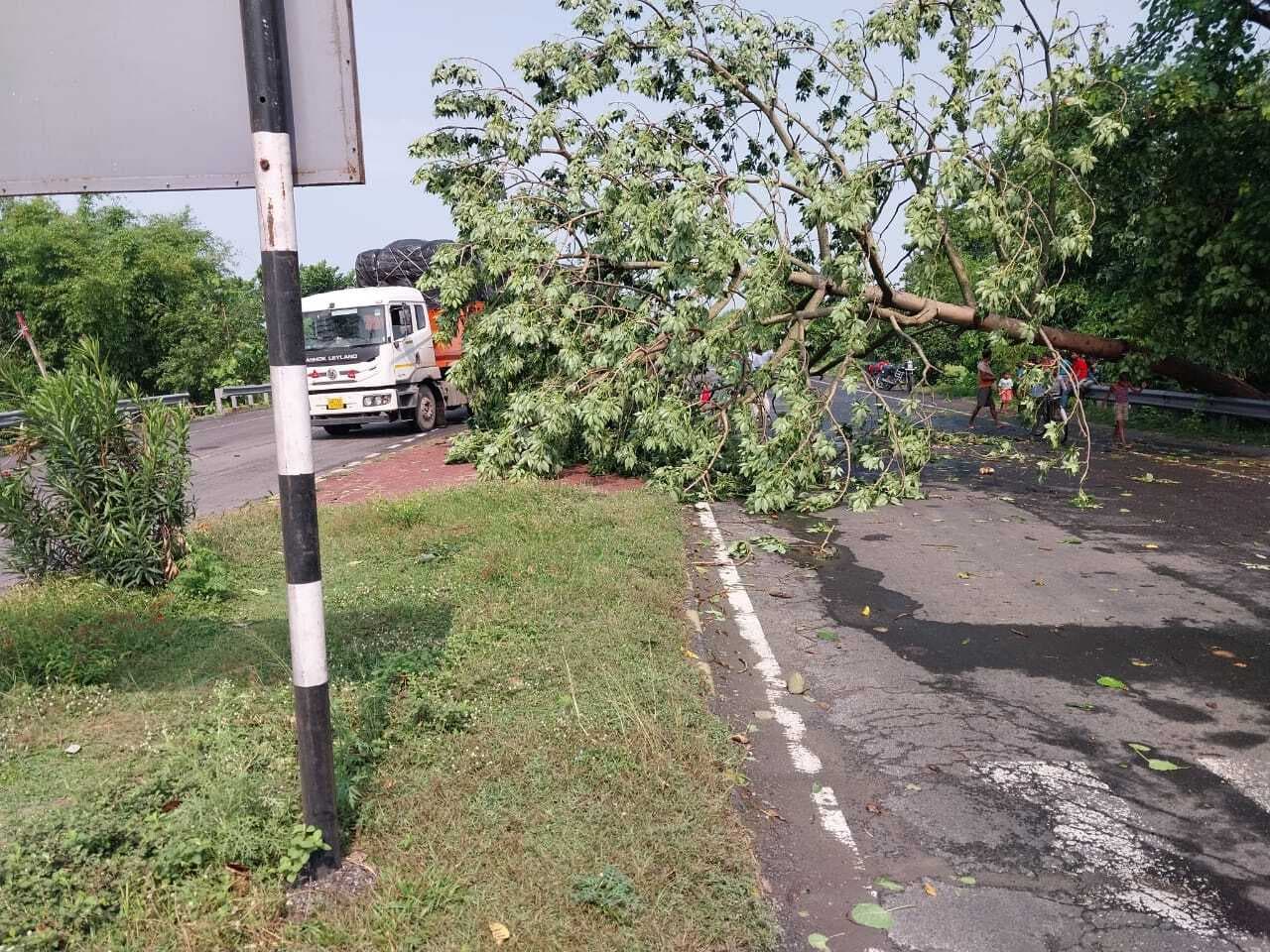 तेज आंधी बारिश से मूंग की फसल बर्बाद, किसान चिंतित