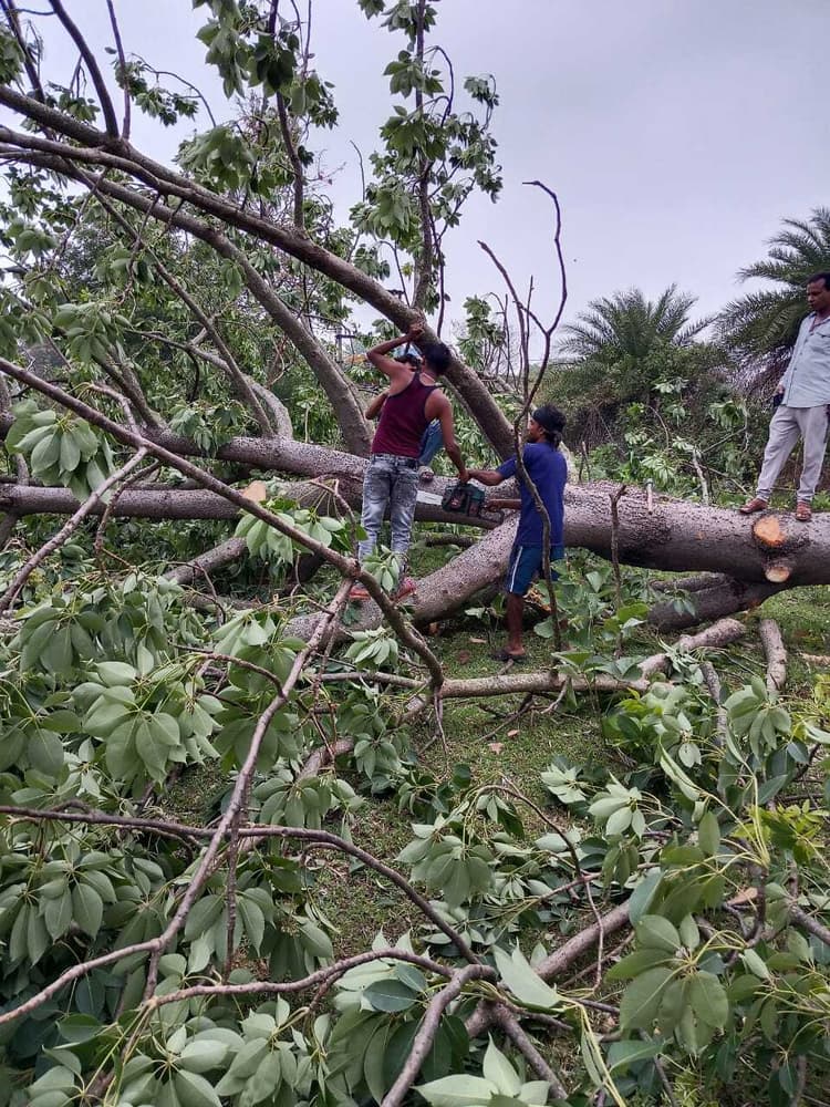 आंधी-बारिश में दर्जनों पेड़ व विद्युत पोल धराशायी, डेढ़ दर्जन घर क्षतिग्रस्त -सधरिया पंचायत के दर्जनों घर गिरा,पेड़ गिरने से बाल बाल बचे ग्रामीण