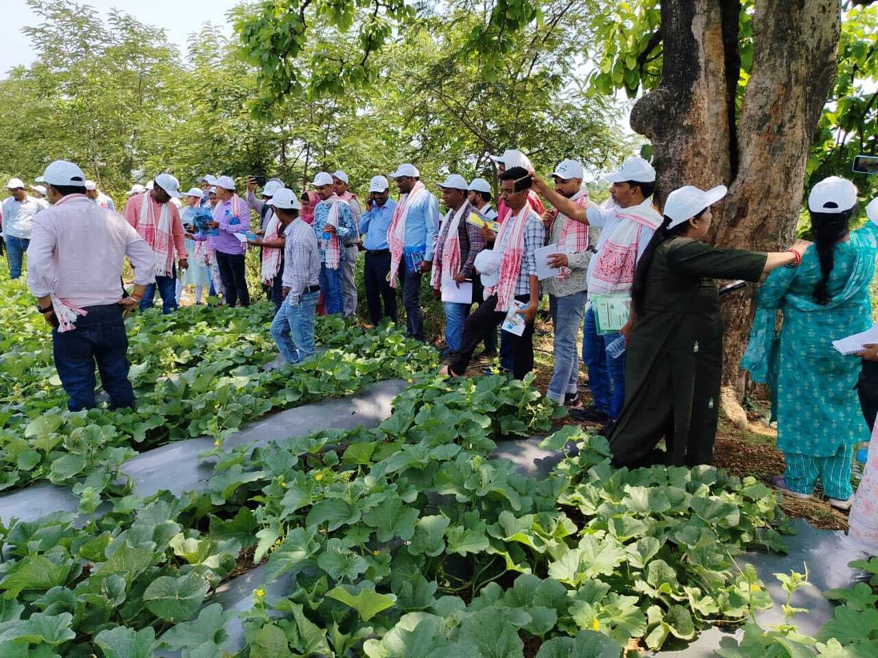 Ranchi News : 58 परियोजना के कृषि पदाधिकारियों ने देखा कैसे बदल गयी हेंदेबिली की तसवीर