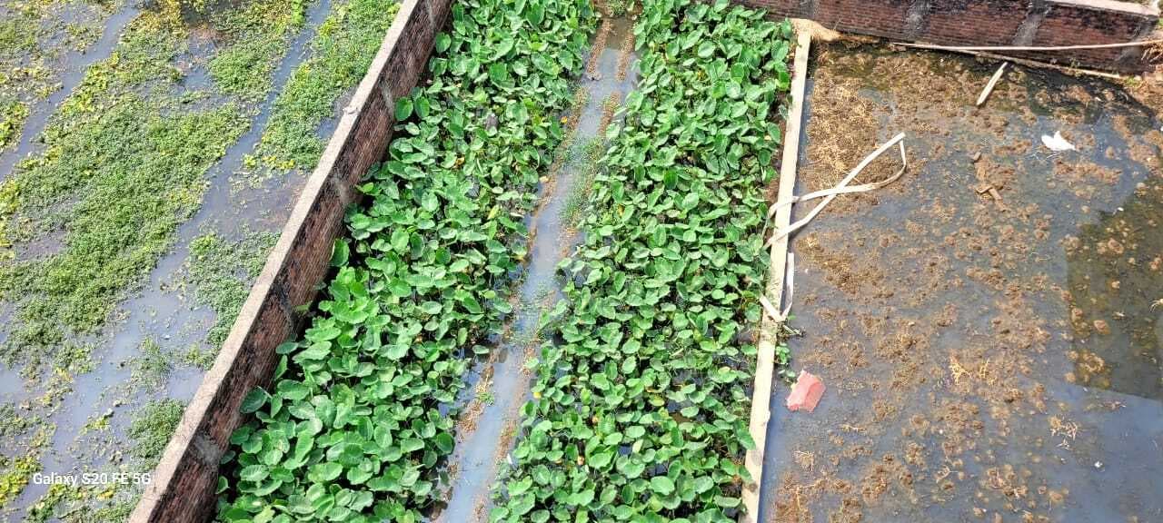 नाला निर्माण के लिए काटी सड़क, खेतों में घुसा पानी