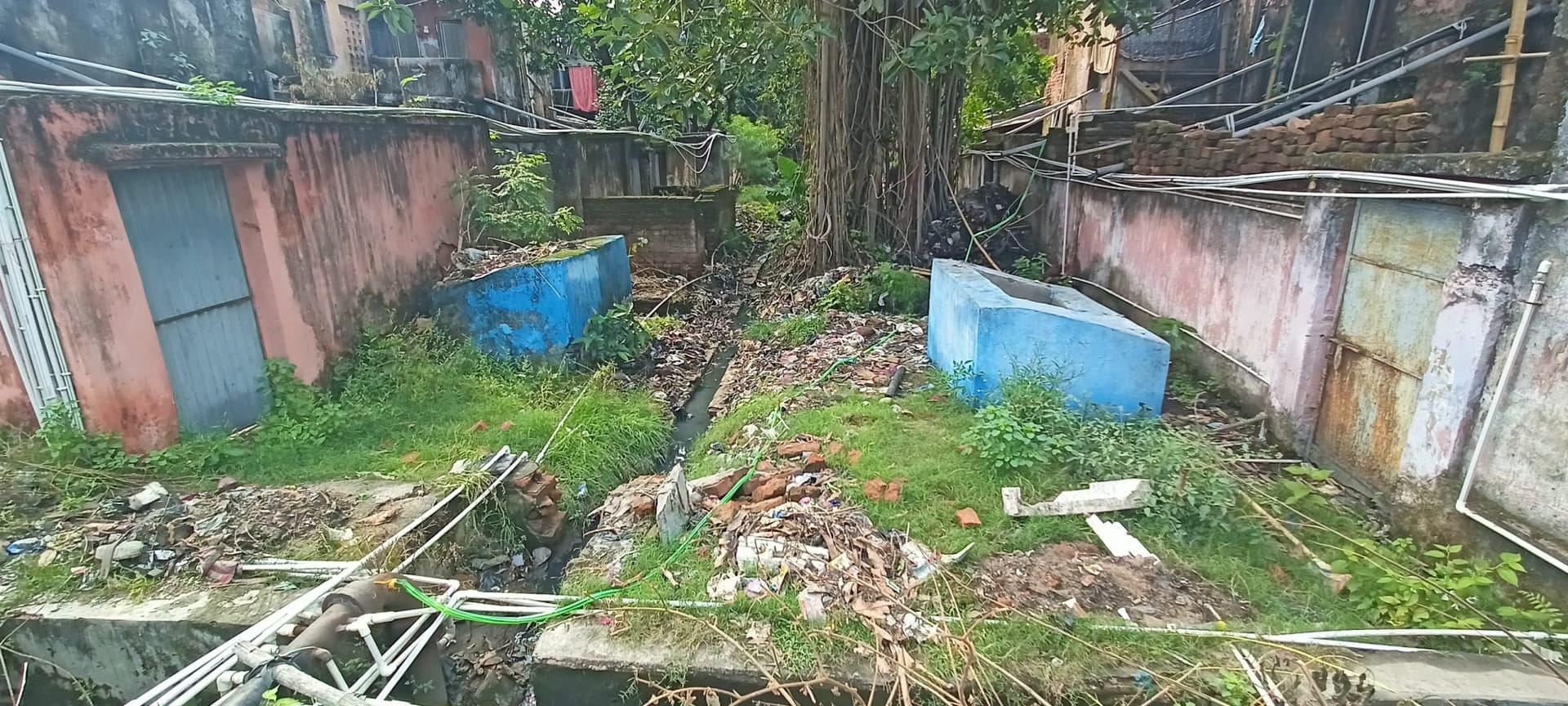 नयी कॉलोनी में गंदगी से बढ़ा मच्छरों का प्रकोप, परेशानी