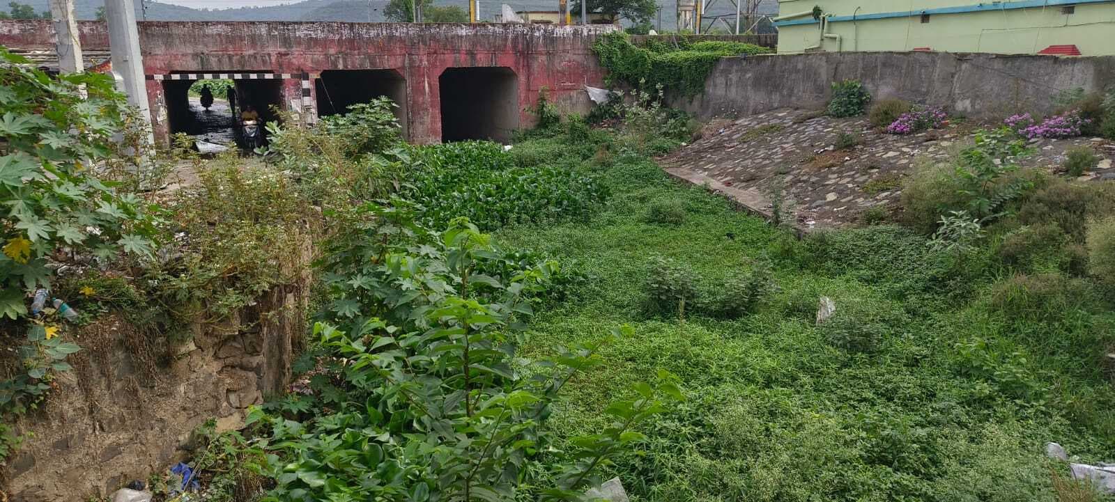 गंदगी से भरा है झरना नाला, बारिश से हो सकता है बड़ा नुकसान