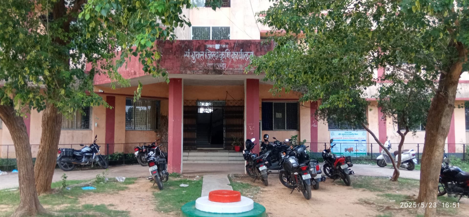 जिले भर में 52 हेक्टेयर में धान व 15700 में होगी मक्के की खेती