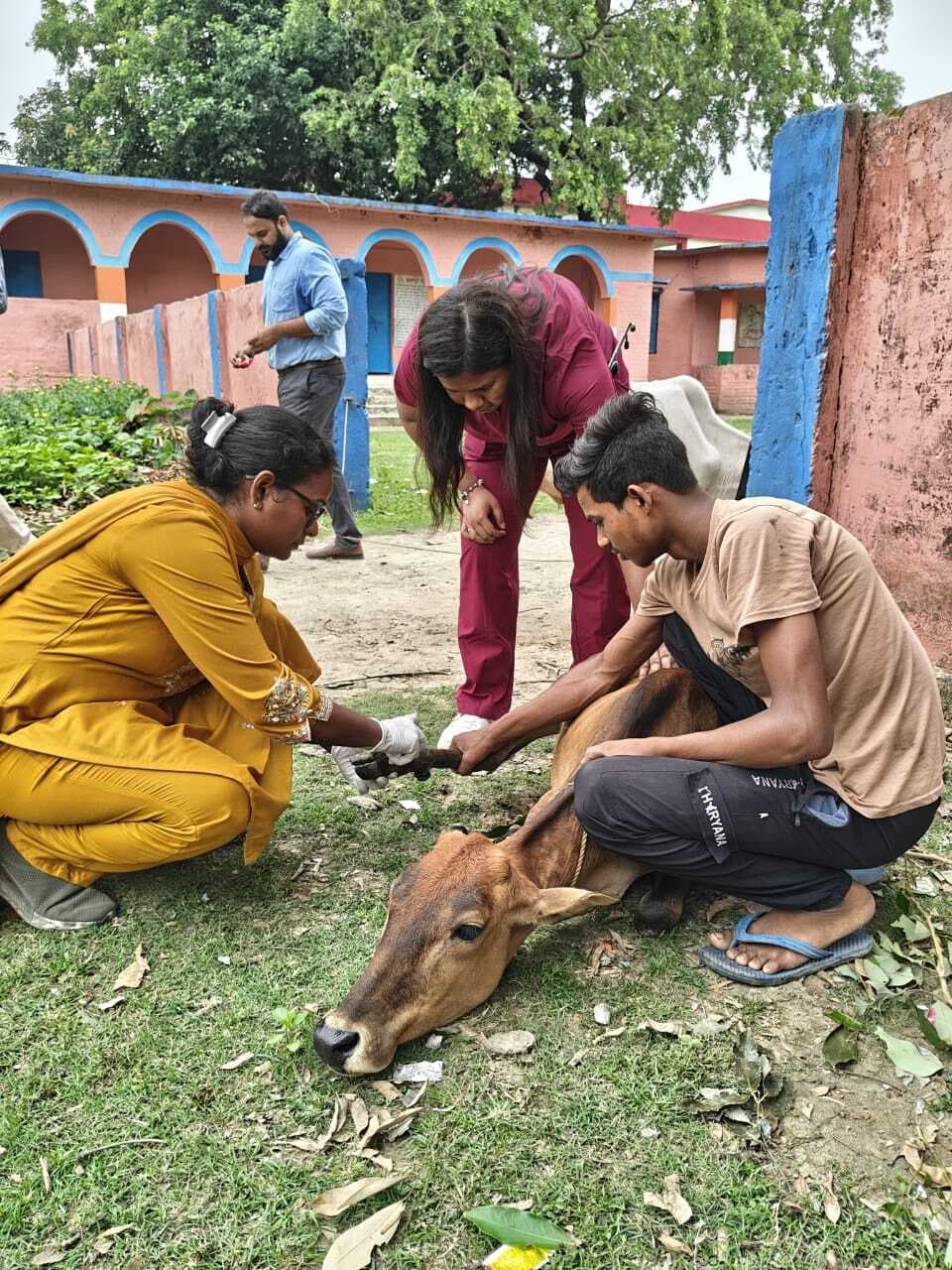 51 पशुपालकों ने अपने पशुओं की करायी जांच