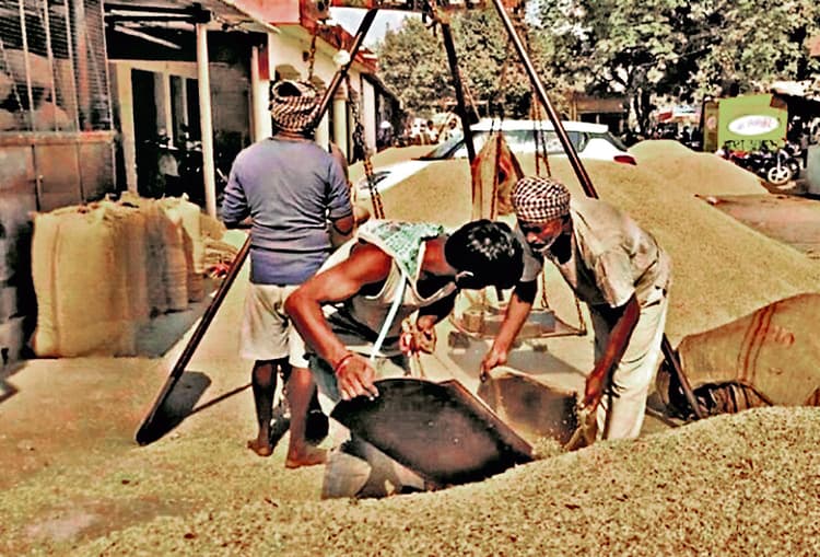 Deoghar News : कल से रोहन नक्षत्र, देवघर में 2100 क्विंटल धान के बीज का आवंटन