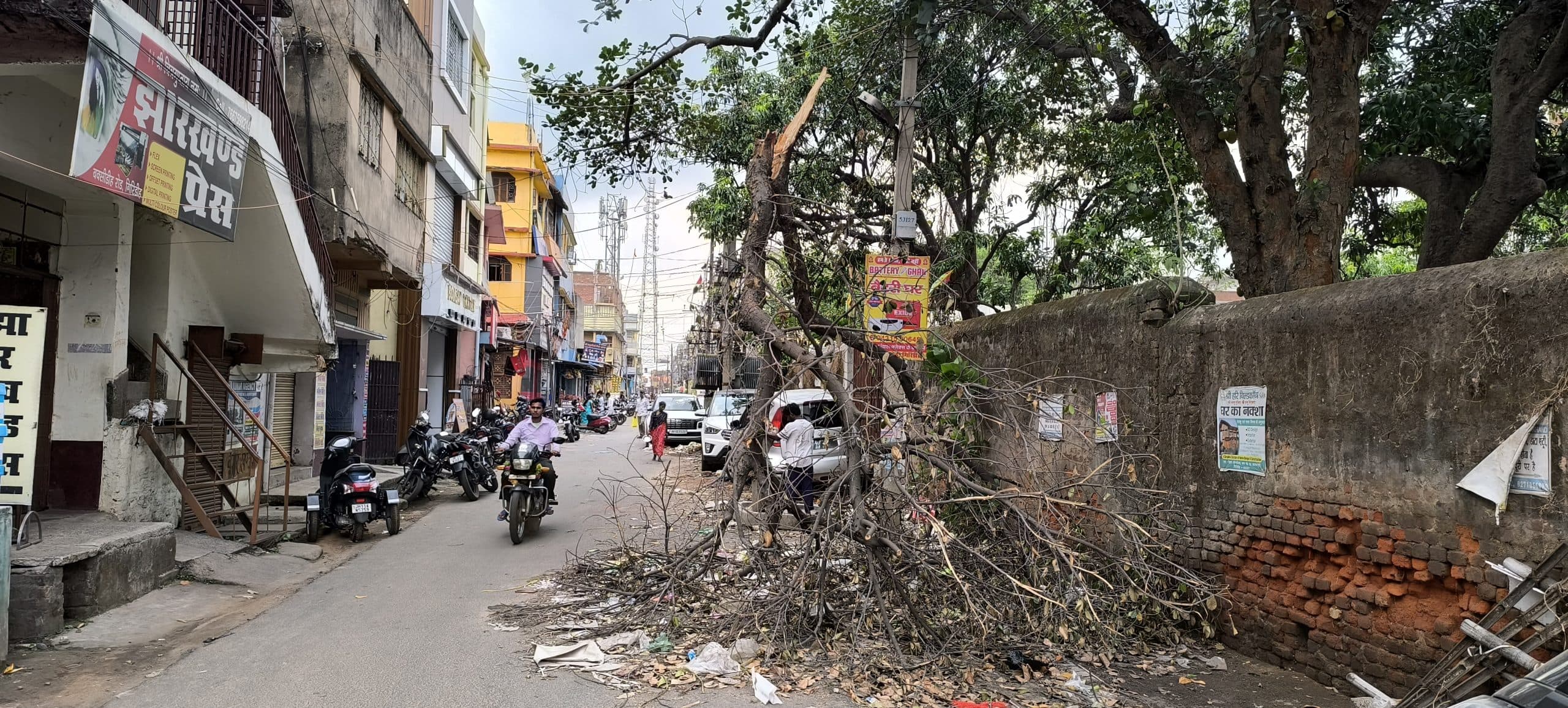 Giridih News :बिजली के झुके पोल नहीं हुए सीधे, ना ही हटाये गये गिरे पेड़-डाल