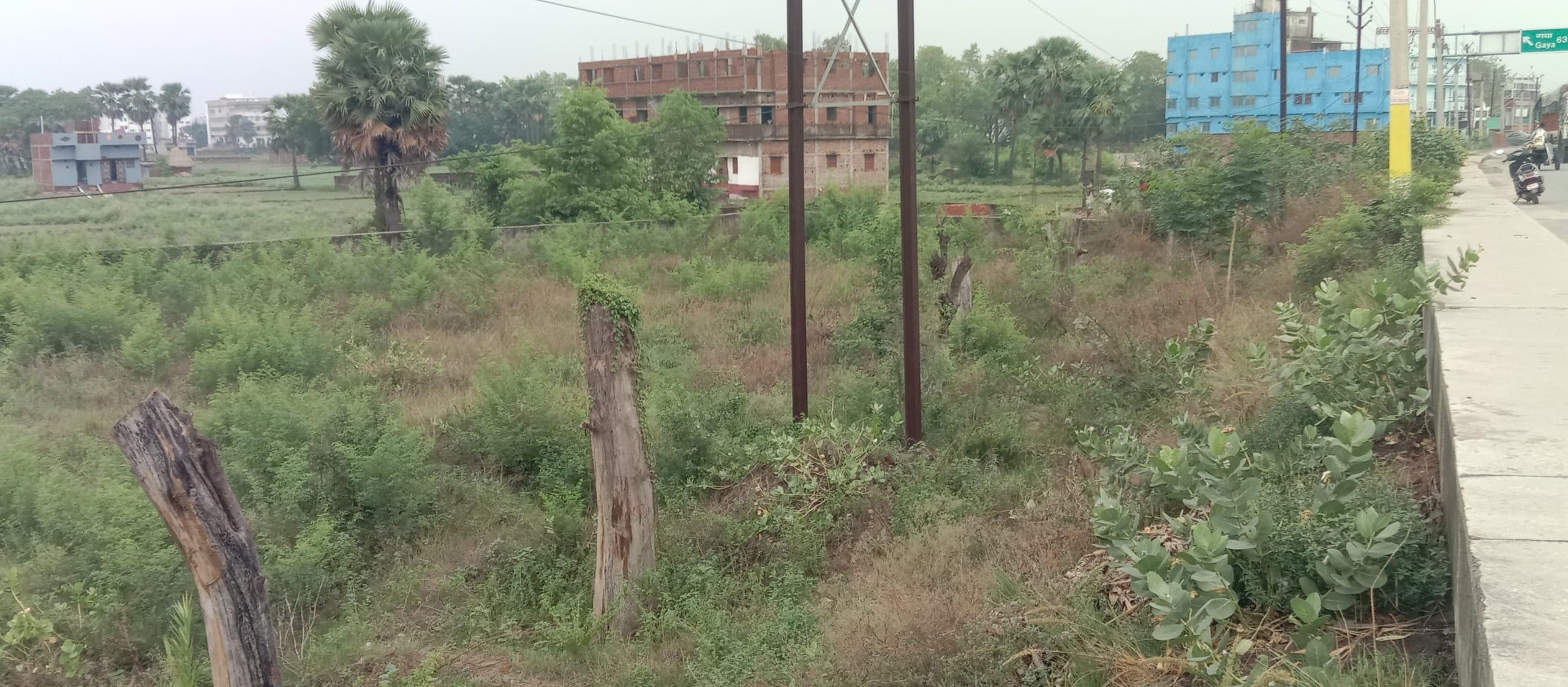 पर्यावरण पर बढ़ा खतरा, हमें अपने बच्चों के सुरक्षित जीवन के लिए पौधा लगाना जरूरी