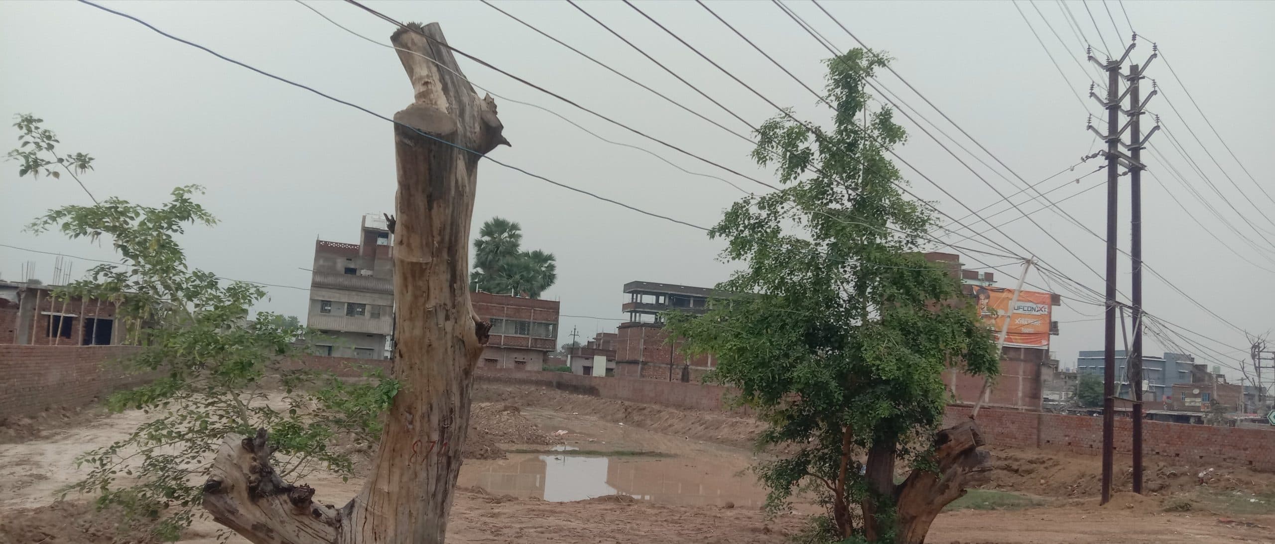 जिले में बढ़ेगी हरियाली, वन विभाग लगायेगा पांच लाख से अधिक पौधे