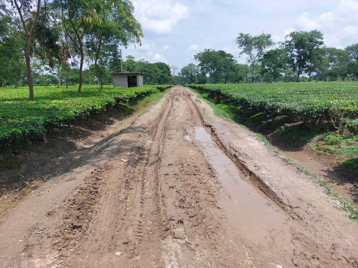 कच्चाखुआ आदिवासी टोला से श्मशान घाट तक कच्ची सड़क कीचड़मय