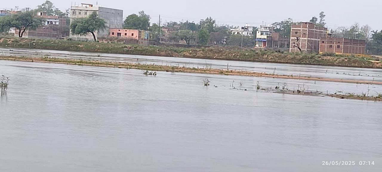 Aurangabad News : लगातार बारिश से खेती के दिख रहे बेहतर आसार