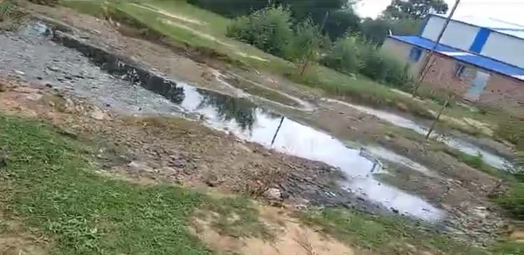 विषाक्त खाद्य पदार्थ खाने से मवेशी की मौत, कई बीमार