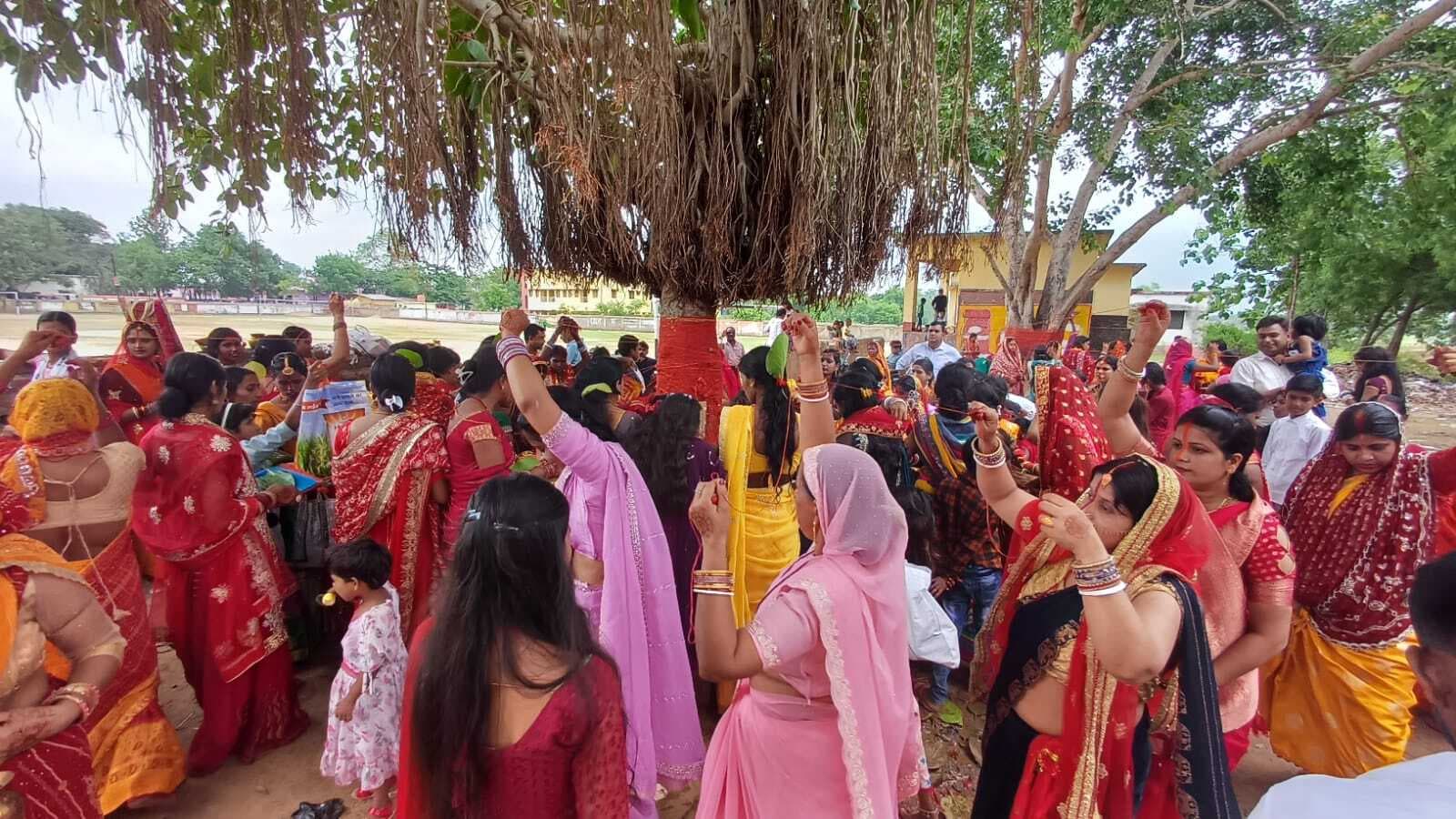 धूमधाम से मनाया गया वट सावित्री व्रत