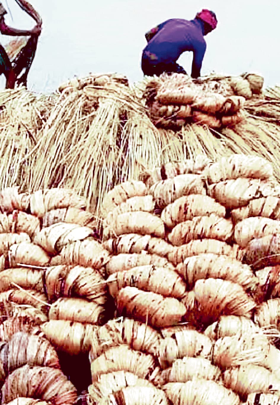 आदेश के बाद भी व्यापारी नहीं दे रहे स्टॉक की जानकारी