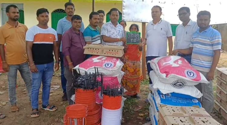 सारवां में मुख्यमंत्री पशुधन योजना के तहत चूजा वितरित