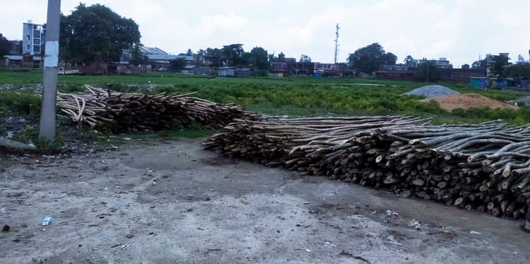 गुलाबबाग को पार्क नसीब नहीं, चारागाह बना मेला ग्राउंड