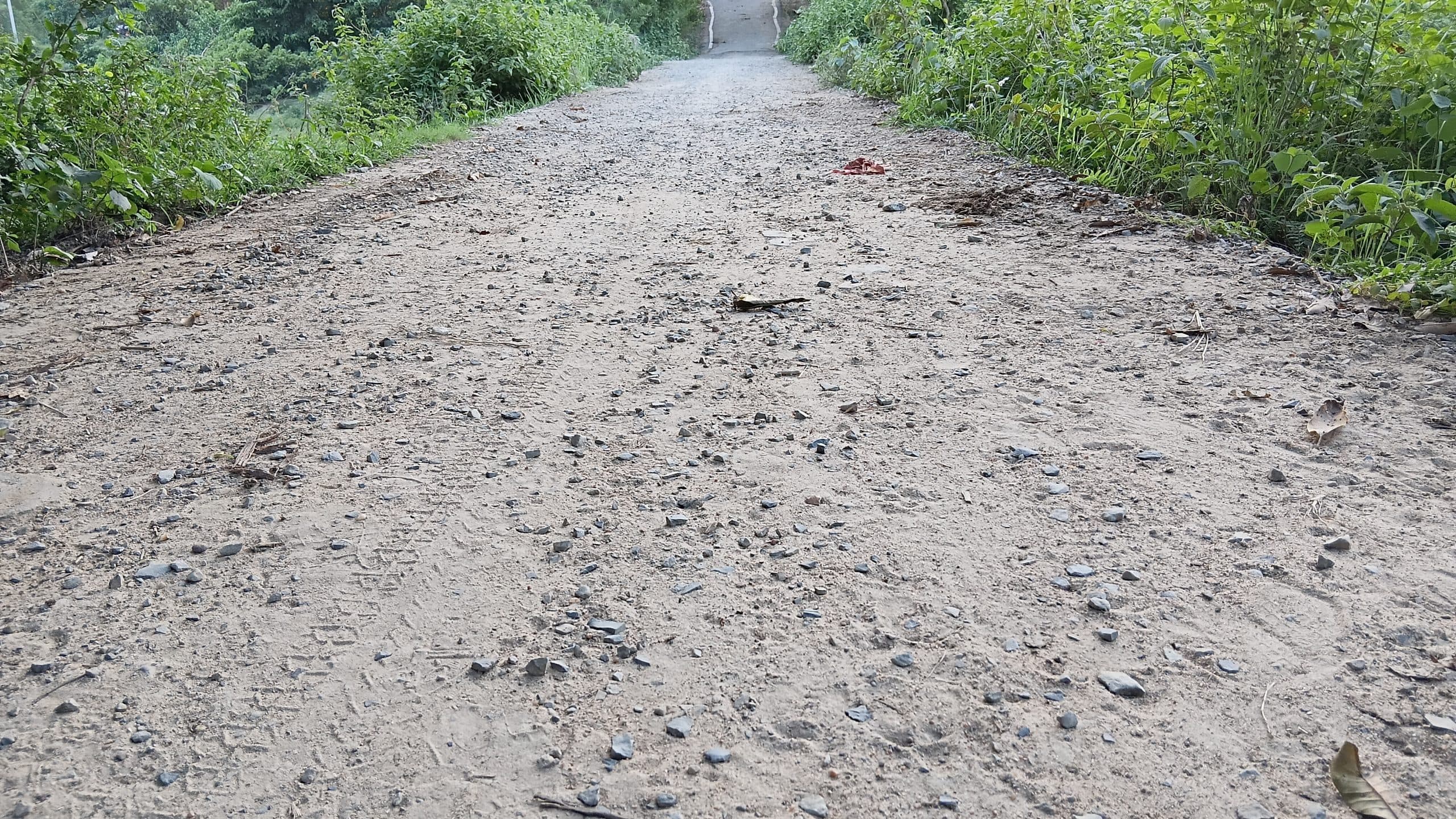 Madhubani News : कमला नदी के तटबंध तक जाने वाली सड़क जर्जर